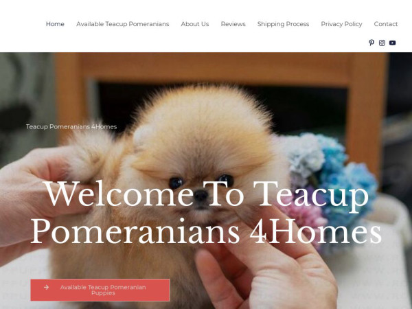 Teacuppomeraniansforhome.com - Pomeranian Puppy Scam Review