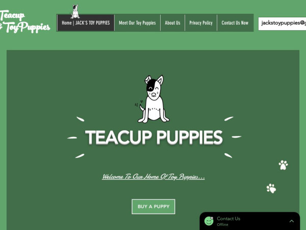 Teacuptoypups.com - Yorkshire Terrier Puppy Scam Review