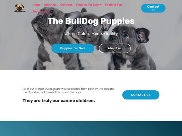 Thebulldogpuppies.net - Bulldog Puppy Scam Review