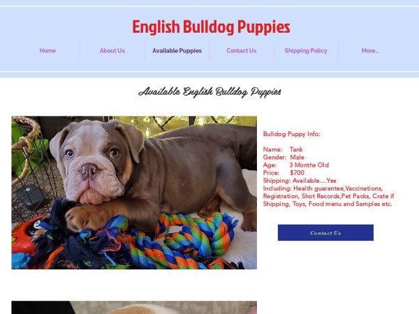 Thehelpformyhome.com - English Bulldog Puppy Scam Review