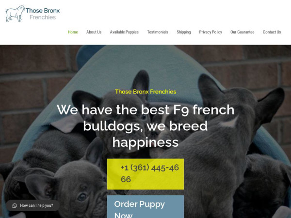 Thosebronxfrenchies.net - French Bulldog Puppy Scam Review