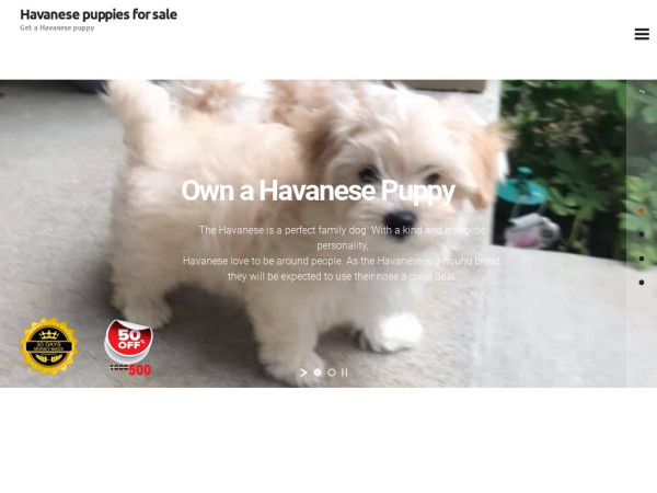 Timhavanesepuppy.com - Havanese Puppy Scam Review