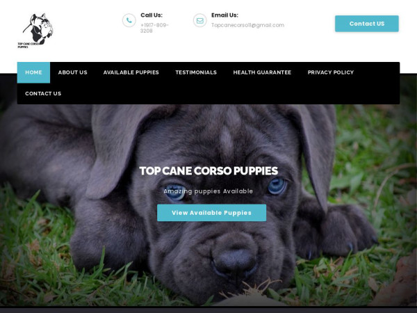 Topcanecorsopuppies.com - Cane Corso Puppy Scam Review