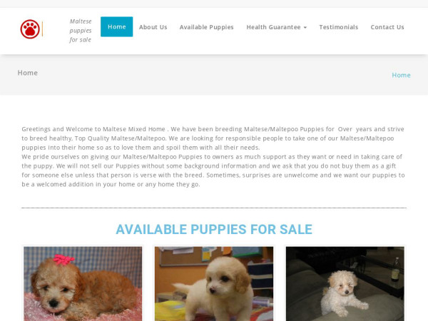 Topmalteseandmix.com - Maltese Puppy Scam Review