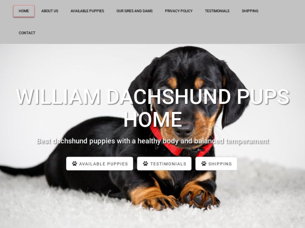 Williamsdachshundpupshome.com - Dachshund Puppy Scam Review