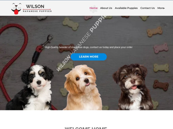 Wilsonhavanesepuppies.com - Havanese Puppy Scam Review