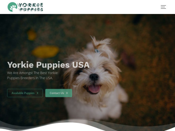 Yorkiepuppiesusa.com - Yorkshire Terrier Puppy Scam Review