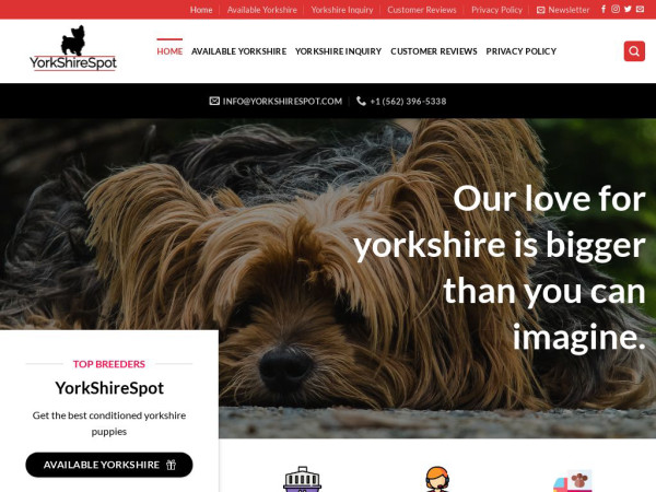 Yorkshirespot.com - Yorkshire Terrier Puppy Scam Review