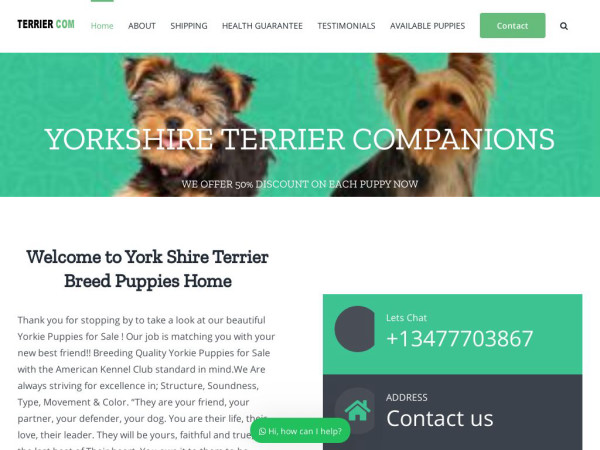 Yorkshireterriercompanions.com - Terrier Puppy Scam Review