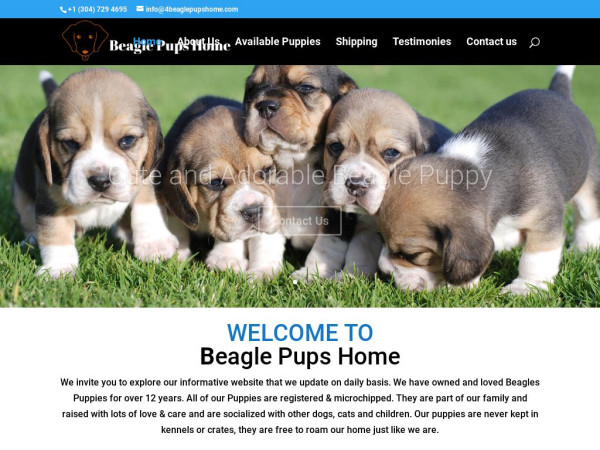 4beaglepupshome.com - Beagle Puppy Scam Review