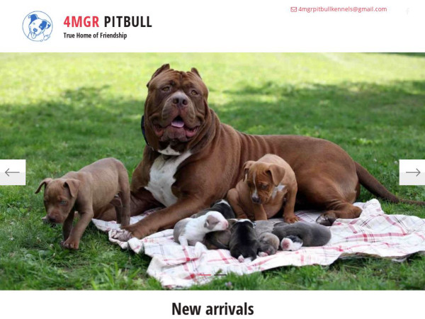 4mgrpitbullkennels.com - Pit Bull Puppy Scam Review