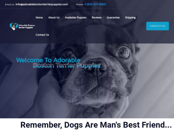 Adorablebostonterrierpuppies.com - Boston Terrier Puppy Scam Review