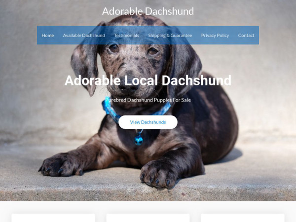 Adorabledachshund.com - Dachshund Puppy Scam Review