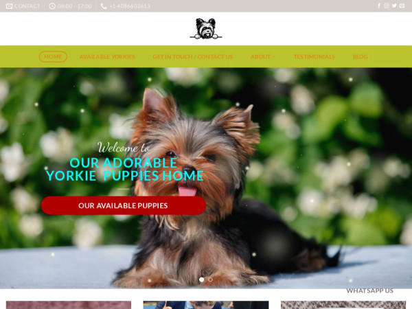 Adorableyorkiepup.com - Yorkshire Terrier Puppy Scam Review