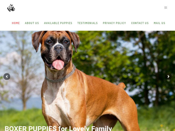 Alexandermasonboxerpuppies.com - Boxer Puppy Scam Review