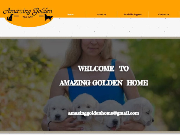 Amazinggoldenhome.com - Golden Retriever Puppy Scam Review