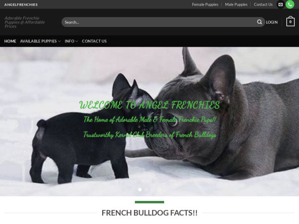 Angelfrenchies.com - French Bulldog Puppy Scam Review