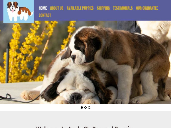 Applesaintbernards.com - Saint Bernard Puppy Scam Review