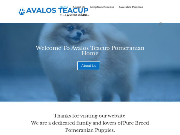 Avalosteacuppomhome.com - Pomeranian Puppy Scam Review