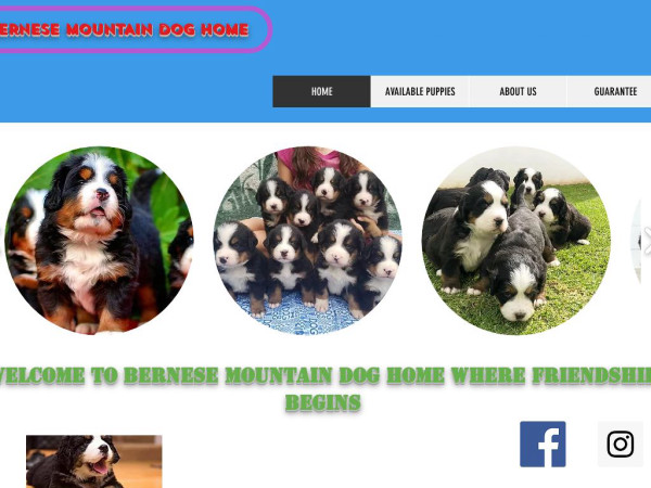 Bernesemountaindoghome.com - Bernese Mountain Dog Puppy Scam Review