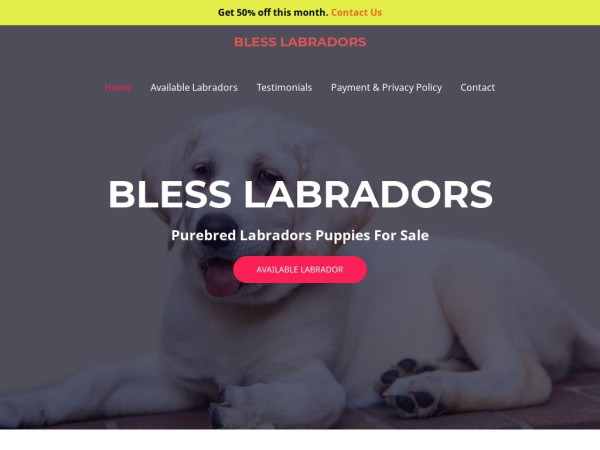 Blesslabradors.com - Labrador Puppy Scam Review