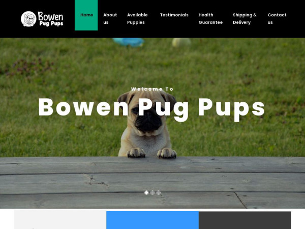 Bowenpugpups.com - Pug Puppy Scam Review