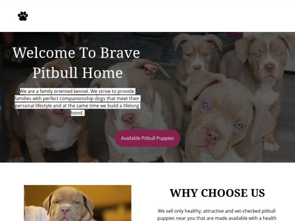 Bravepitbullhome.com - Pit Bull Puppy Scam Review