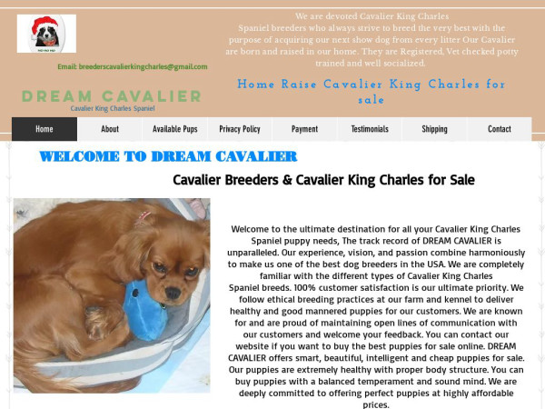 Breederscavalierkingcharles.com - Cavalier King Charles Spaniel Puppy Scam Review