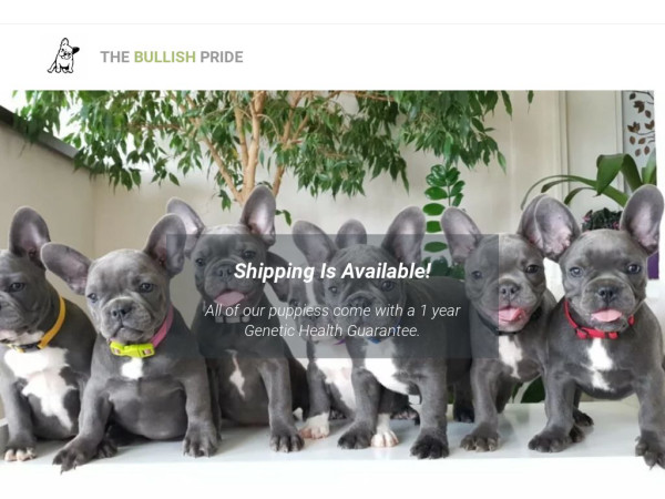 Bullishprides.com - English Bulldog Puppy Scam Review