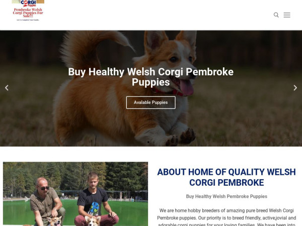 Buyhealthywelshipembrokepuppies.com - Corgi Puppy Scam Review