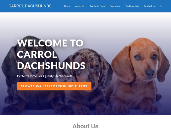 Carroldachshund.com - Dachshund Puppy Scam Review