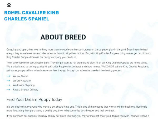 Cavalierkingcharlesspanielpuppies.net - Cavalier King Charles Spaniel Puppy Scam Review