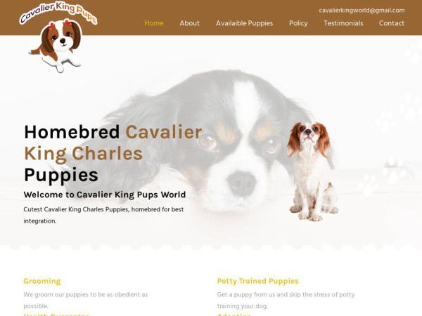 Cavalierkingpupsworld.com - Cavalier King Charles Spaniel Puppy Scam Review