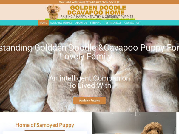 Cavapooandgoldendoodlepuppy.com - Cavapoo Puppy Scam Review