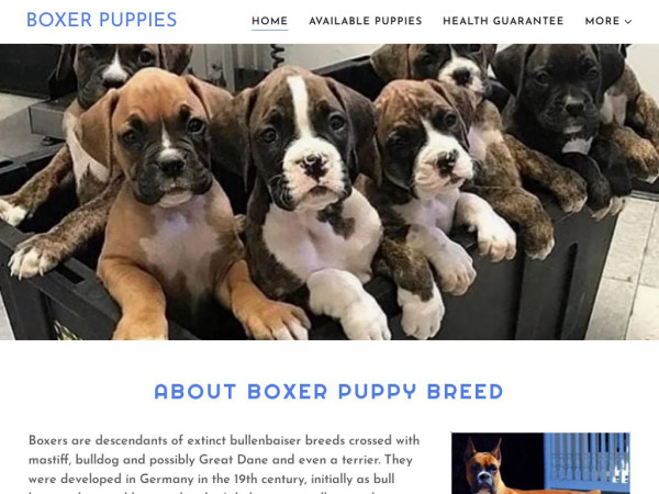 Certifiedboxerbreeder.com - Boxer Puppy Scam Review