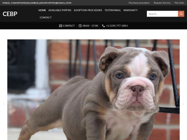 Championenglishbulldogpuppys.com - English Bulldog Puppy Scam Review