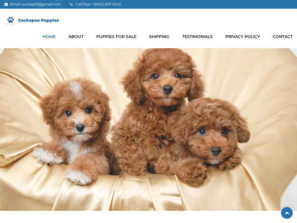 Cockapoopuppyhome.com - Cockapoo Puppy Scam Review