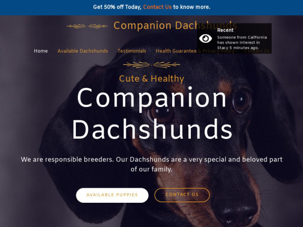 Companiondashunds.com - Dachshund Puppy Scam Review