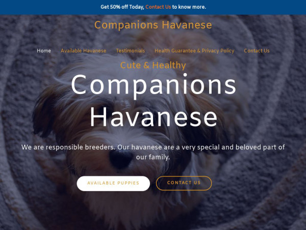 Companionshavanese.com - Havanese Puppy Scam Review