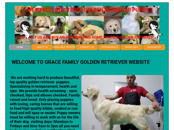 Countrysidegoldenretrieverpuppies.com - Golden Retriever Puppy Scam Review