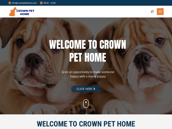 Crownpethome.com - Corgi Puppy Scam Review