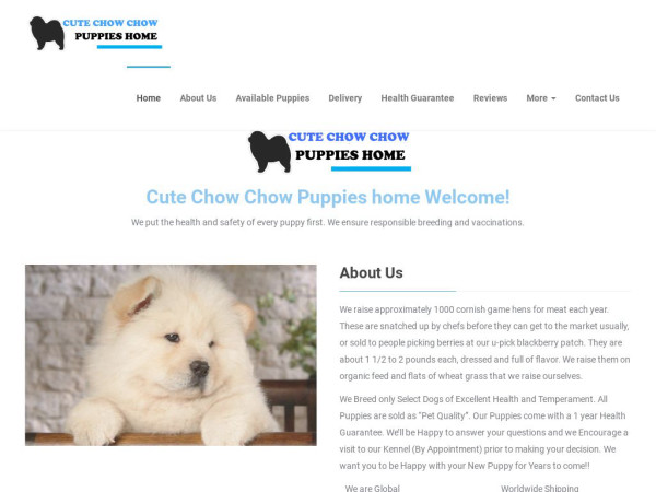 Cutechowchowpuppieshome.com - Chowchow Puppy Scam Review