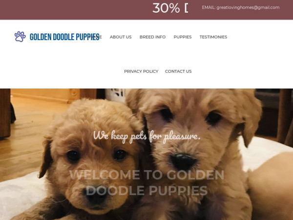 Cutegoldendoodlepuppies.com - Golden Doodle Puppy Scam Review