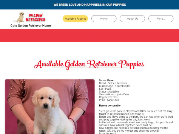 Cutegoldenretriverhome.com - Golden Retriever Puppy Scam Review