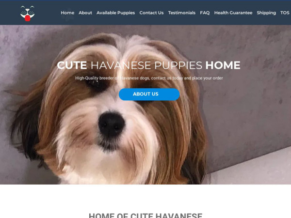 Cutehavanesepuppieshome.com - Havanese Puppy Scam Review