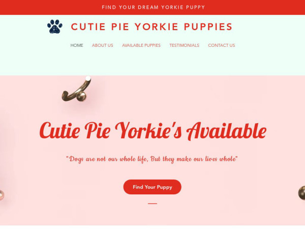 Cutiepieyorkiepuppies.com - Yorkshire Terrier Puppy Scam Review