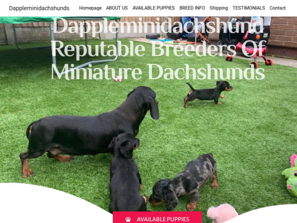 Dappleminidachshunds.com - Dachshund Puppy Scam Review