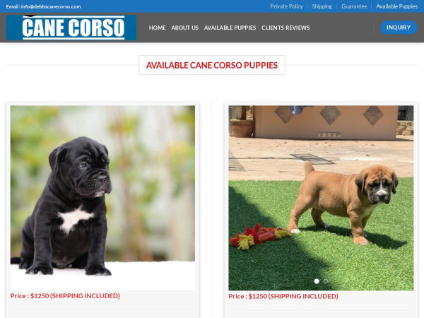 Debbscanecorso.com - Cane Corso Puppy Scam Review