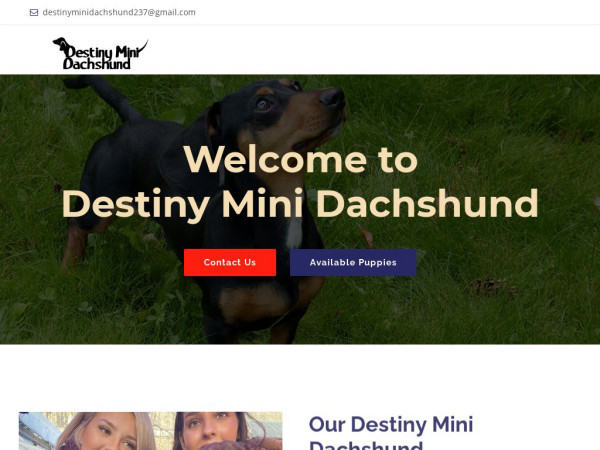 Destinyminidachshund.com - Dachshund Puppy Scam Review