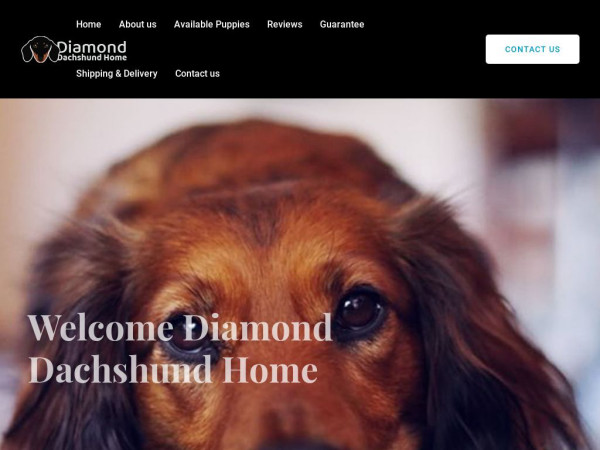 Diamonddachshundhome.com - Dachshund Puppy Scam Review